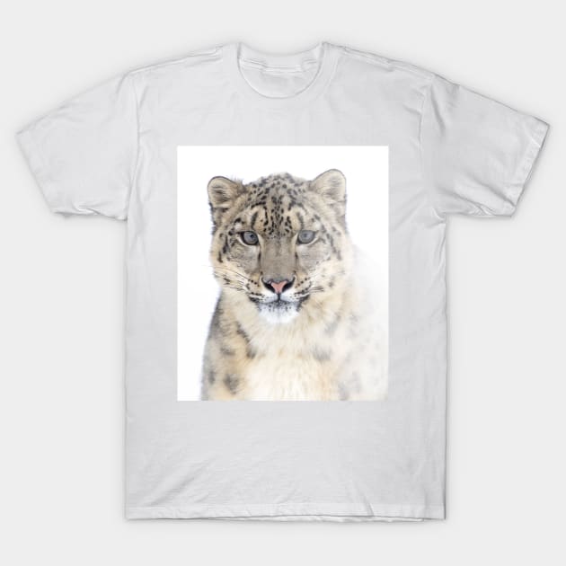 Snow Leopard T-Shirt by Jim Cumming